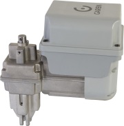 GAREN - CONJ MOTOR AUTOMAT BASCUL DUO SPEED 1/3HP 220V (F06165-GCT) CLONE