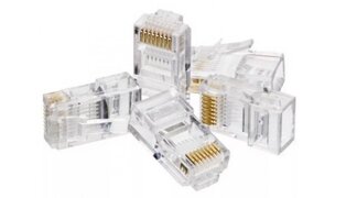 CONECTOR RJ45 CAT5E CRISTAL BXD PCT50 UNID